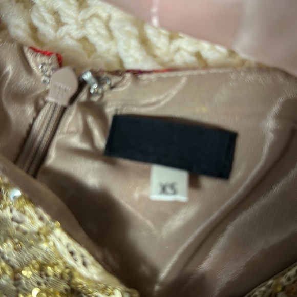 STUNNING ladies XS ANTHROPOLOGY WREN festive dress with sequins, shimmer+lined - Picture 9 of 12